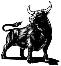 Logo Toro